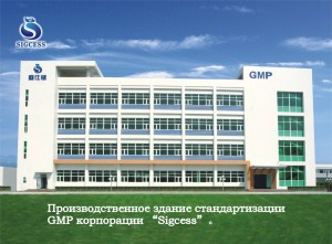 sigcess